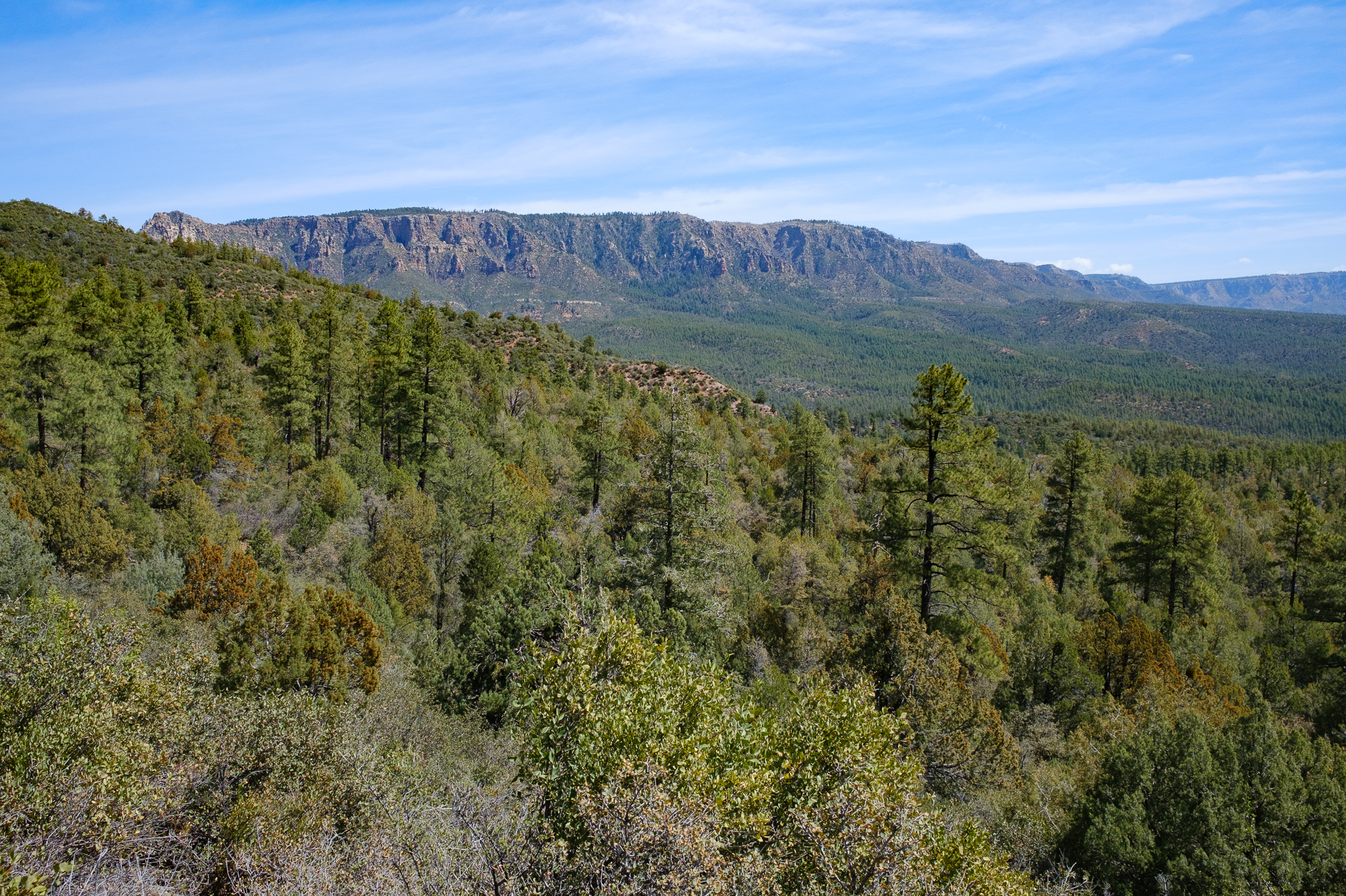 Mogollon Rim