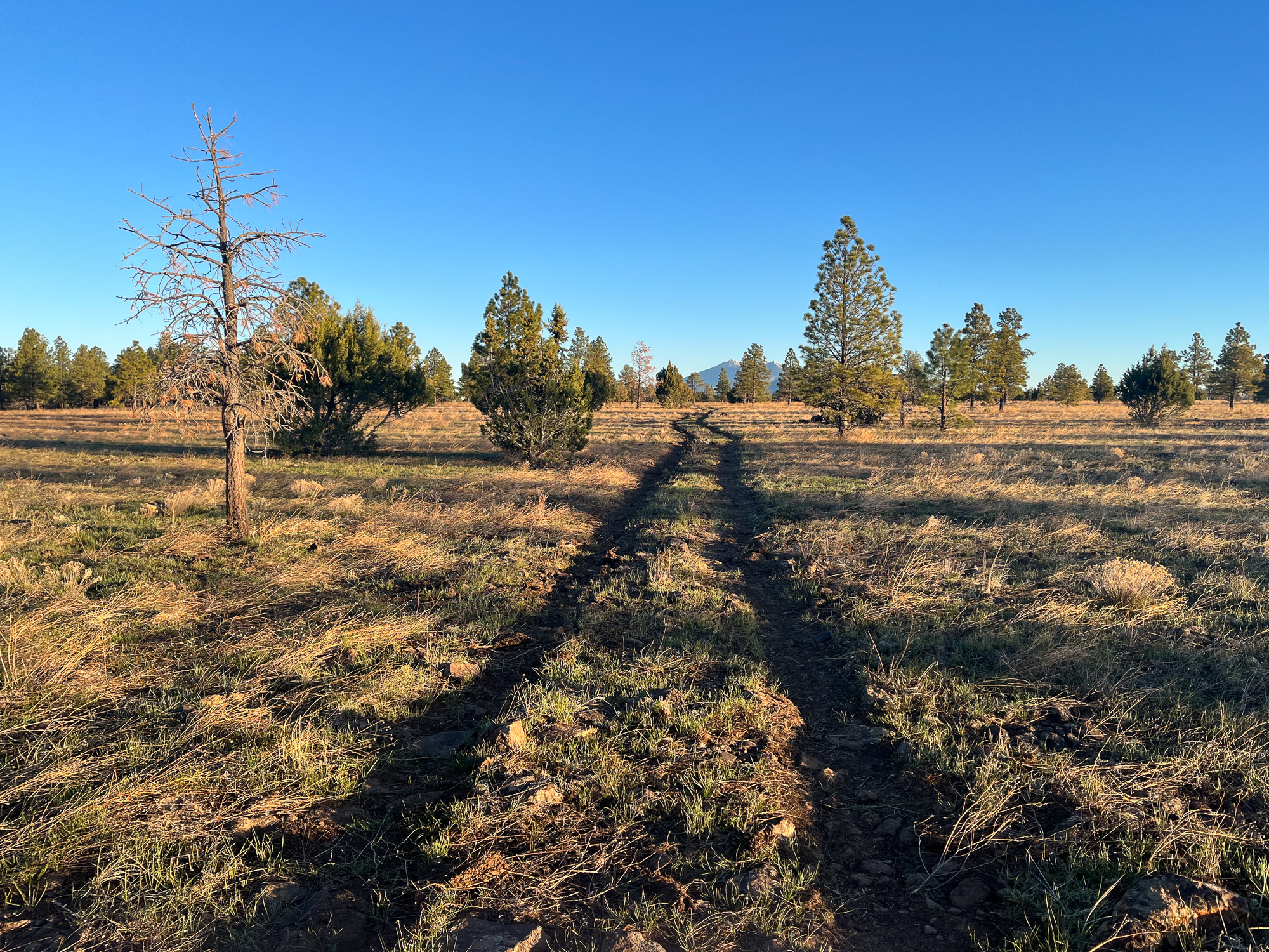 Heading north towards Flagstaff