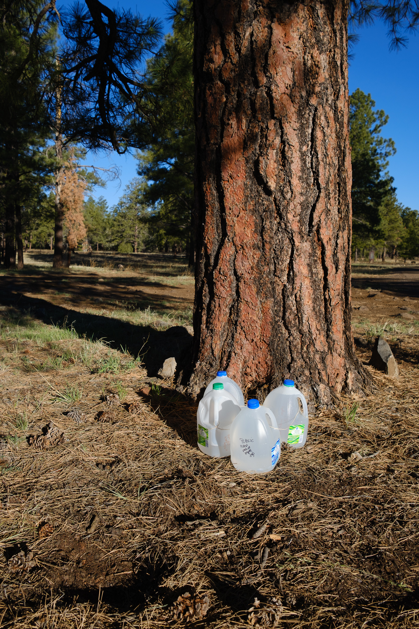 Water cache