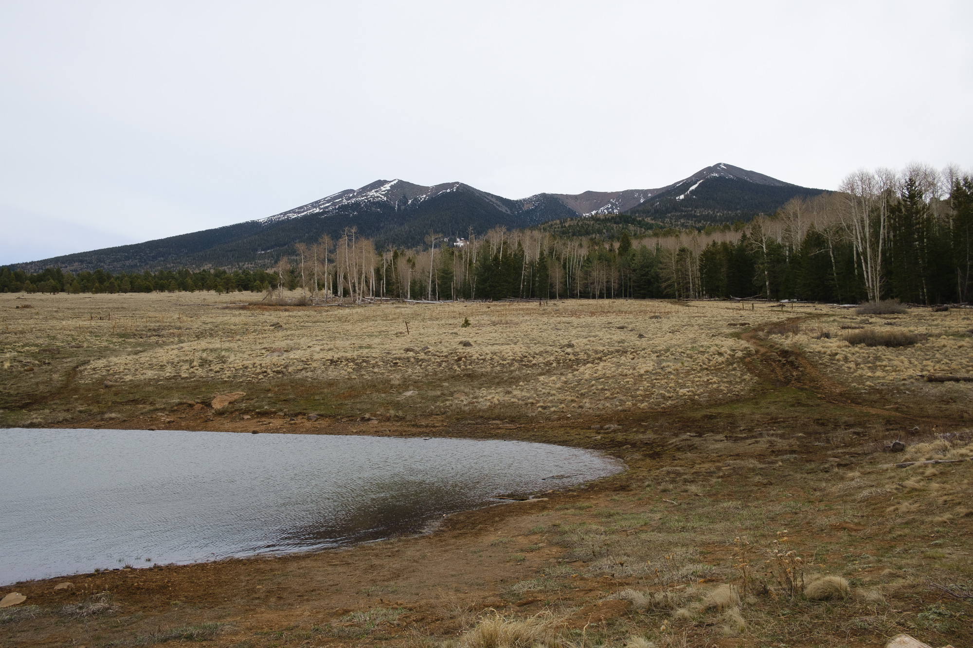 San Francisco Peaks, north of Flagstaff