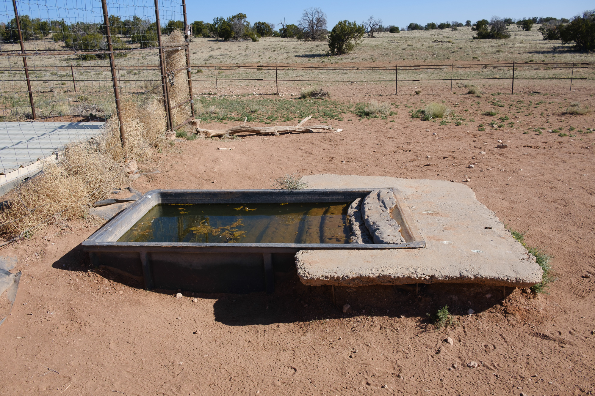 Wildlife drinker, one of the better water sources